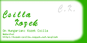 csilla kozek business card
